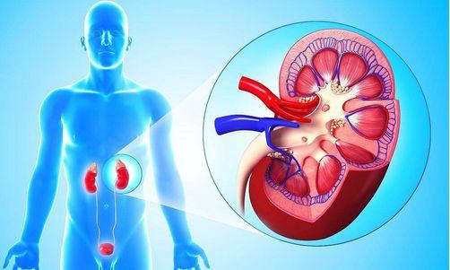 急性腎衰竭的護理要點